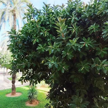 La Felicidad Ii By Costa Denia