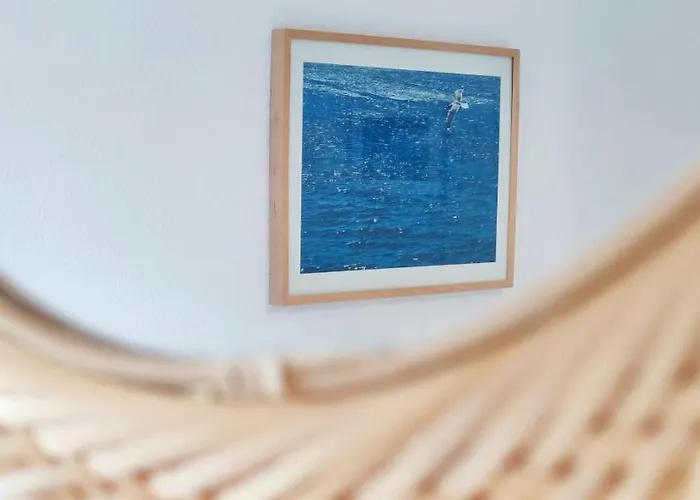 Apartment La Felicidad Ii By Costa