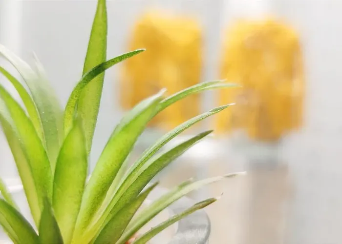 La Felicidad Ii By Costa *