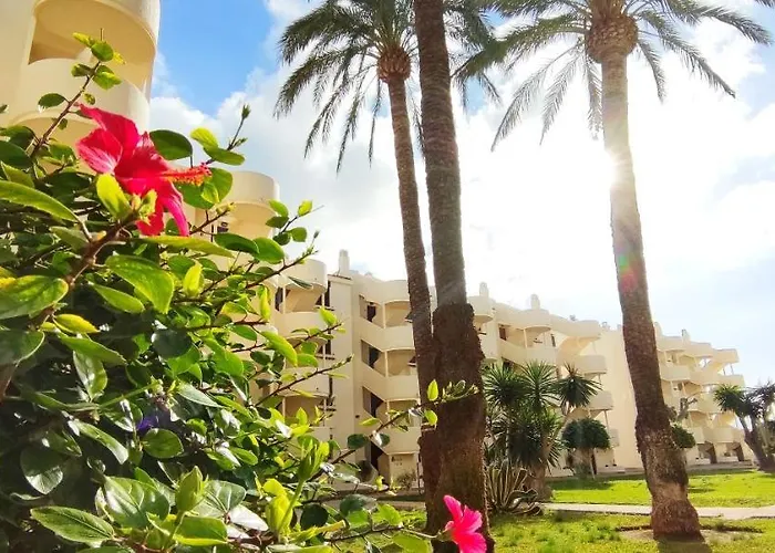 Apartment La Felicidad Ii By Costa *