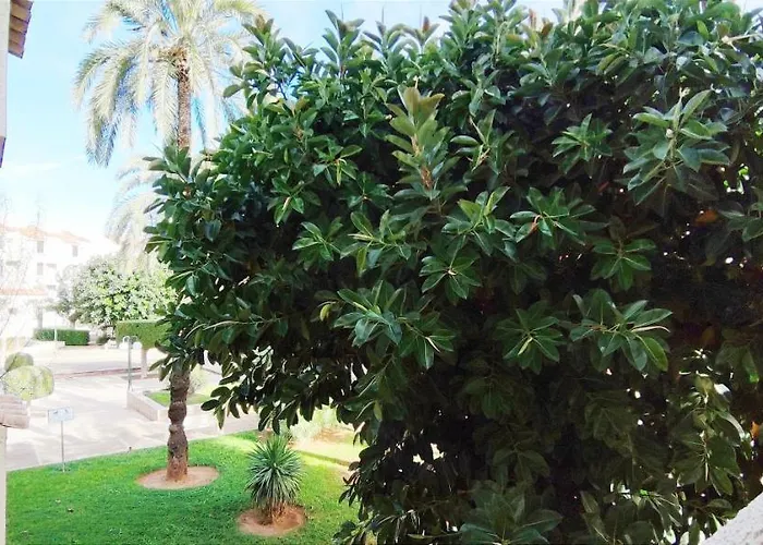 La Felicidad Ii By Costa Denia